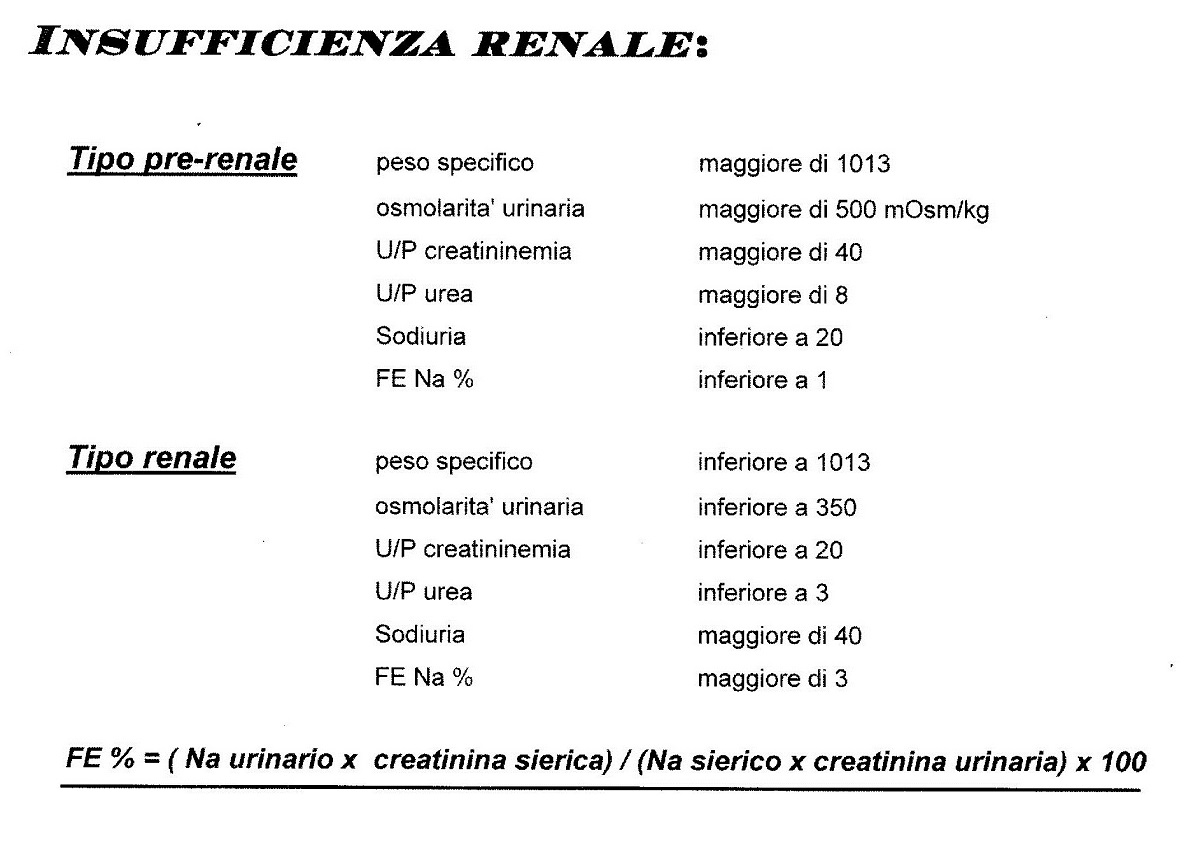 prevenzione del danno renale da mezzo di contrasto Dott Giancarlo Stazi - cardiologo