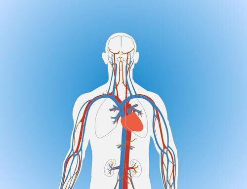 Farmaci in urgenza cardiovascolare di uso più comune